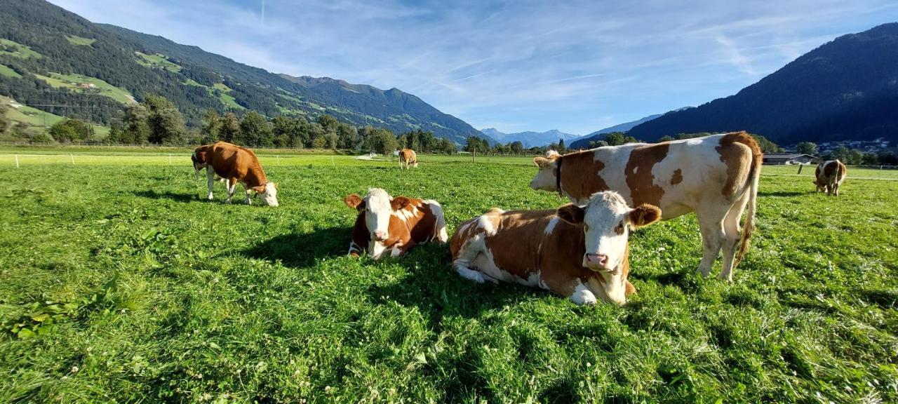 Hotel Brixnerhof Im Zillertal Schlitters Esterno foto