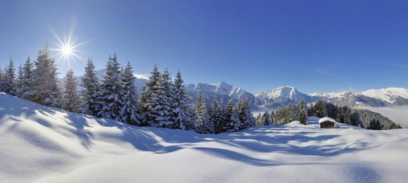 Hotel Brixnerhof Im Zillertal Schlitters Esterno foto