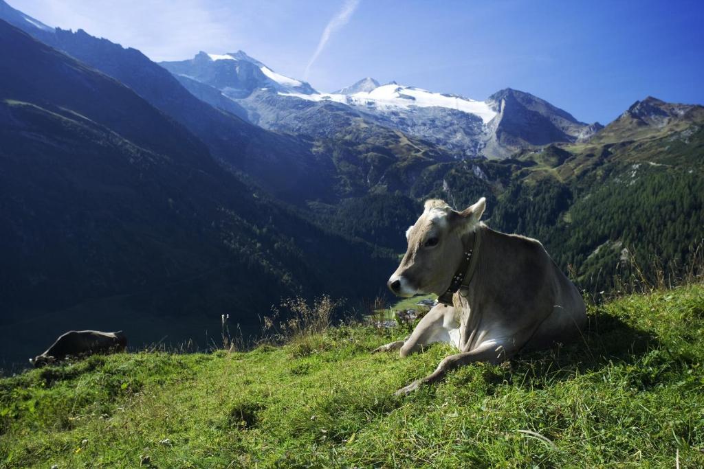Hotel Brixnerhof Im Zillertal Schlitters Esterno foto